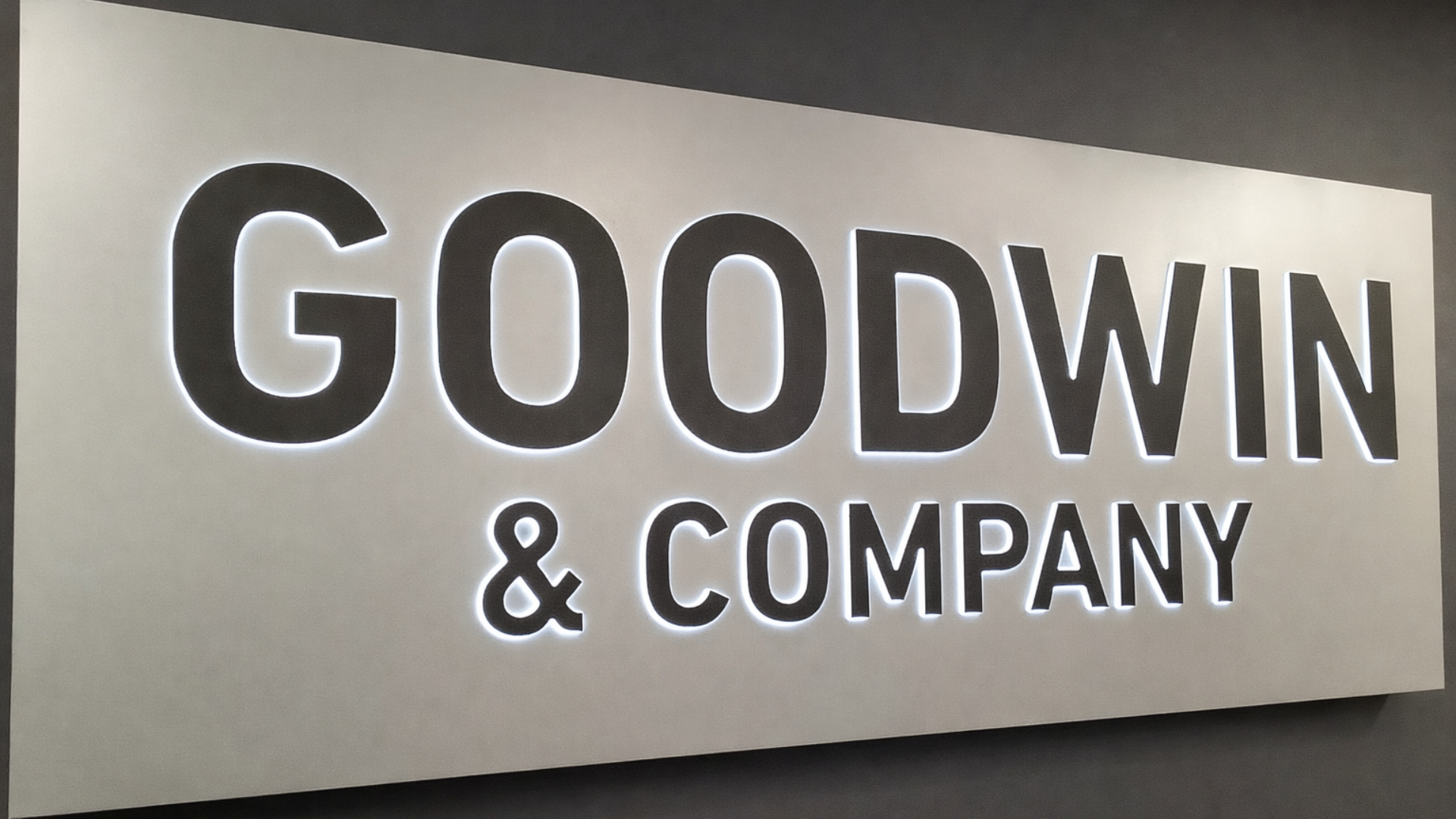 Modern halo-lit dimensional letter sign installed inside a Denver commercial office, featuring LED backlit illumination for enhanced brand visibility and a premium professional appearance.